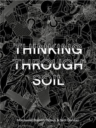 Thinking Through Soil: Wastewater Agriculture in the Mezquital Valley by Montserrat Bonvehi Bonvehi Rosich 9780674298958