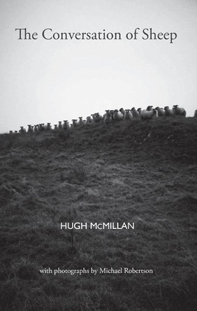 The Conversation of Sheep by Hugh McMillan 9781912147793