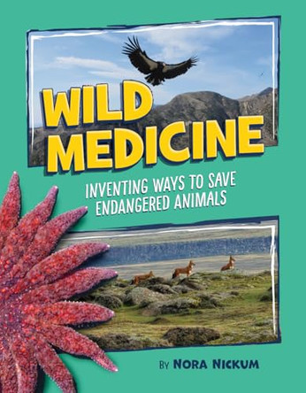 Wild Medicine: Inventing Ways to Save Endangered Animals by Nora Nickum 9781668961162