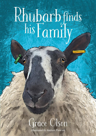 Rhubarb Finds His Family by Grace Olson 9781839529313
