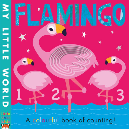 Flamingo: a colourful book of counting by Fhiona Galloway 9781788814690 [USED COPY]