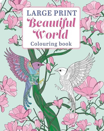 Large Print Beautiful World Colouring Book by Tansy Willow 9781398872233