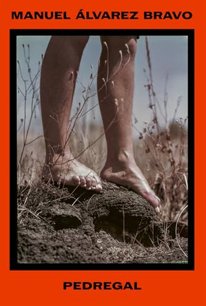 Manuel Alvarez Bravo: Pedregal: Stone and Memory by Manuel Alvarez Bravo 9788410290556