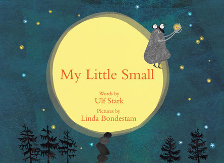 My Little Small by Linda Bondestam 9781592702091