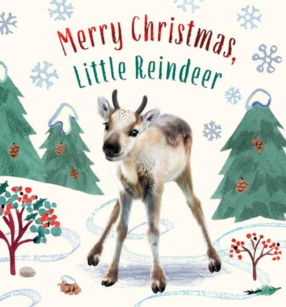 Merry Christmas, Little Reindeer by Amanda Wood 9781419769498