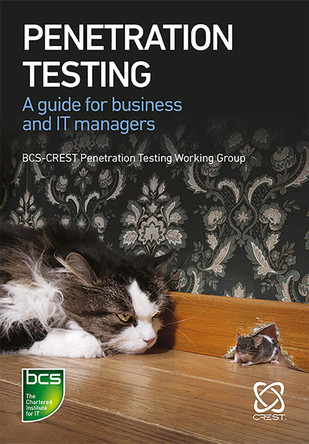 Penetration Testing: A guide for business and IT managers by James Hayes 9781780174082