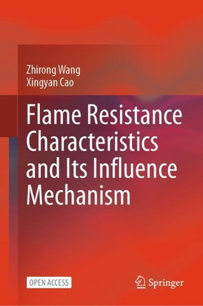 Flame Resistance Characteristics and its Influence Mechanism by Zhirong Wang 9789819561186