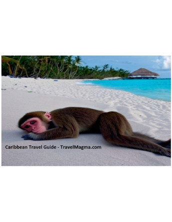 Caribbean Travel Guide - Explore the Caribbean Islands by Travelmagma 9798215028186