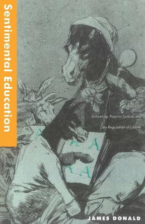 Sentimental Education: Schooling, Popular Culture and the Regulation of Liberty by James Donald 9780860915553
