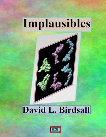 Implausibles by David L Birdsall 9780978697976