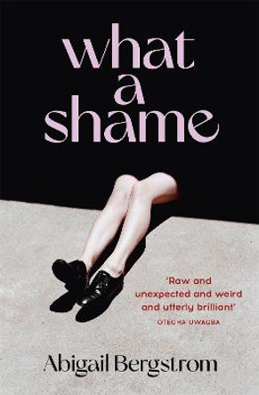 What a Shame: A dazzling, bold and funny debut by Abigail Bergstrom