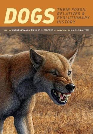 Dogs: Their Fossil Relatives and Evolutionary History by Xiaoming Wang 9780231135290