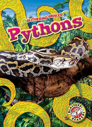 Pythons by Joanne Mattern 9798893044775