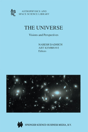 The Universe: Visions and Perspectives by Naresh Dadhich 9789401057844