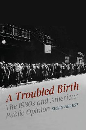 A Troubled Birth: The 1930s and American Public Opinion by Susan Herbst