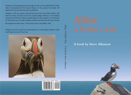 Aldar, A Puffin's Tale by Steve Allanson 9781399993463
