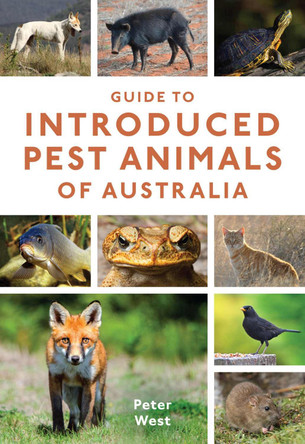 Guide to Introduced Pest Animals of Australia by Peter West 9781486305674