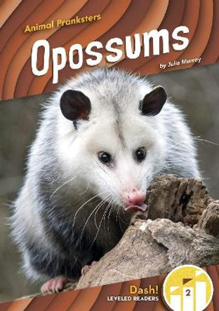 Opossums by Julie Murray