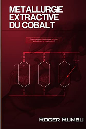 Métallurgie Extractive du Cobalt - 3 ed. by Roger Rumbu 9780359557059