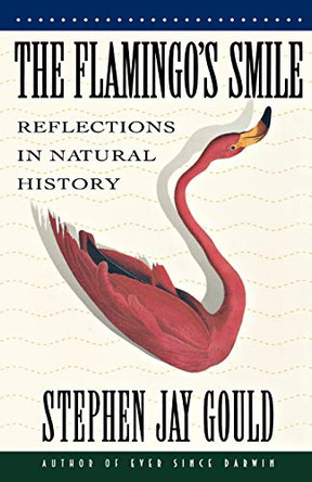 The Flamingo's Smile: Reflections in Natural History by Stephen Jay Gould 9780393303759