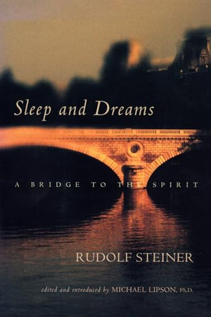 Sleep and Dreams: A Bridge to the Spirit by Michael Lipson 9780880105125