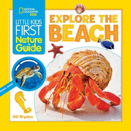 Little Kids First Nature Guide: Explore the Beach by Alli Brydon