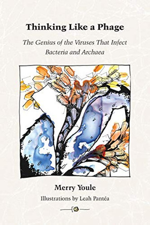 Thinking Like a Phage: The Genius of the Viruses That Infect Bacteria and Archaea by Merry Youle 9780990494317