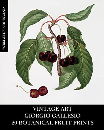 Vintage Art: Giorgio Gallesio 20 Botanical Fruit Prints by Vintage Revisited Press 9781006605321