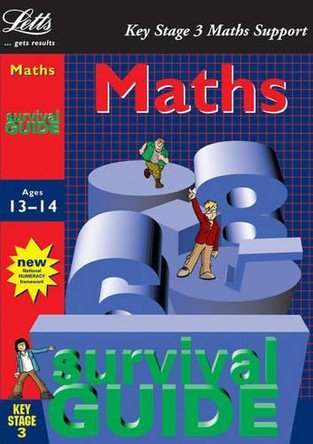 Key Stage 3 Survival Guide: Maths Age 13-14 by Sheila Hunt 9781840856385 [USED COPY]