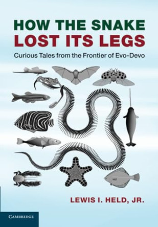 How the Snake Lost its Legs: Curious Tales from the Frontier of Evo-Devo by Lewis I. Held, Jr. 9781107621398