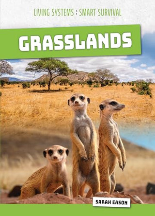 Grasslands by Sarah Eason 9781917509800