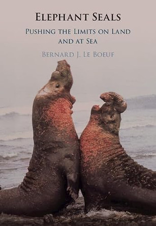 Elephant Seals: Pushing the Limits on Land and at Sea by Bernard J. Le Boeuf 9781316511541