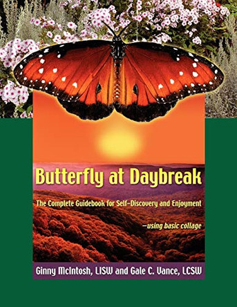 Butterfly At Daybreak by Ginny McIntosh 9781421899022