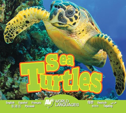 Sea Turtles by Carr Aaron 9781489672667