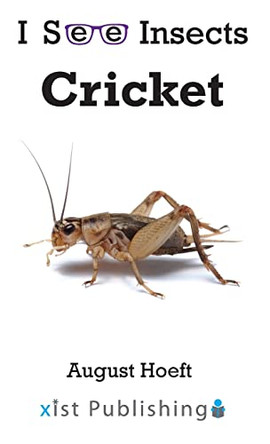 Cricket by August Hoeft 9781532433405