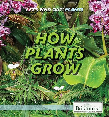 How Plants Grow by Cathleen Small 9781538301890