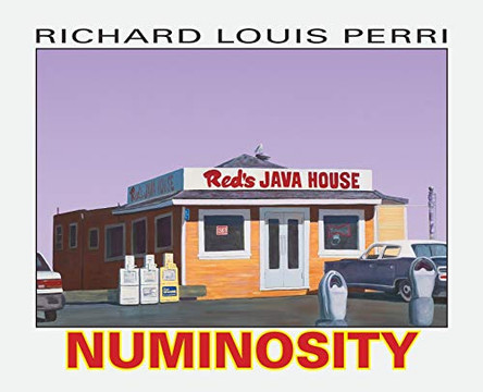 Numinosity: Photographs, Paintings & Text by Richard Louis Perri 9781587904332