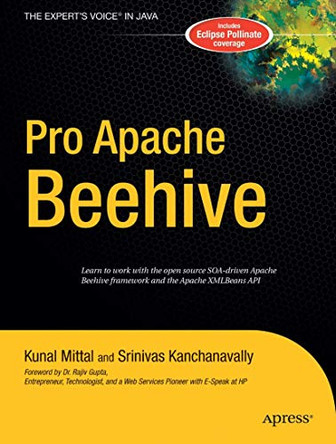 Pro Apache Beehive by Srinivas Kanchanavally 9781590595152