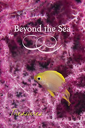 Beyond the Sea: Treasures by Eber & Wein 9781608804061