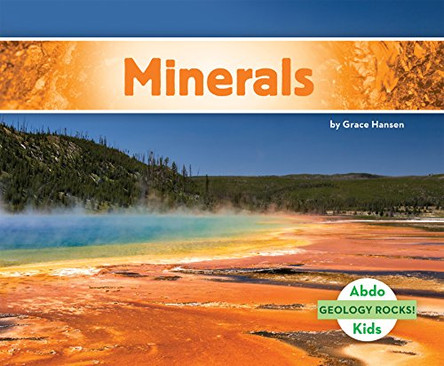 Minerals by Grace Hansen 9781629709079