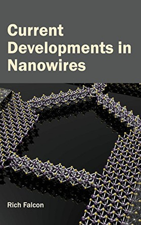 Current Developments in Nanowires by Rich Falcon 9781632381095