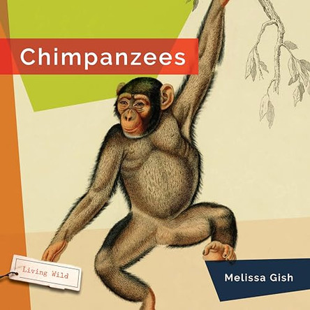 Chimpanzees by Melissa Gish 9781640267763