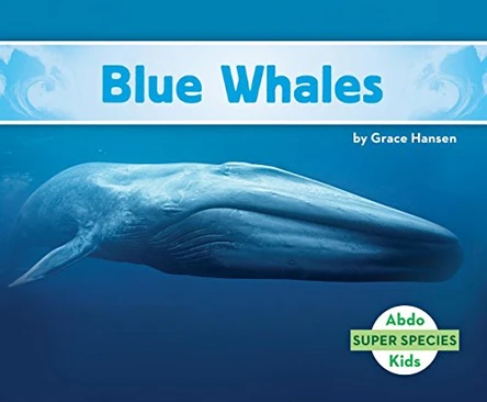 Blue Whales by Grace Hansen 9781680805420