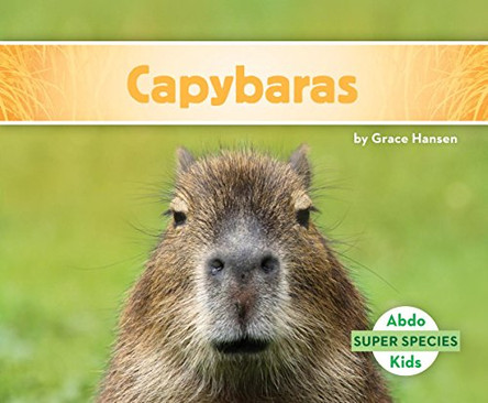 Capybaras by Grace Hansen 9781680805437