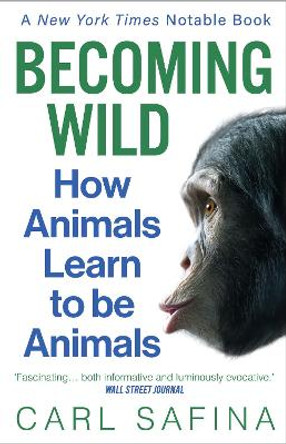Becoming Wild: How Animals Learn to be Animals by Carl Safina