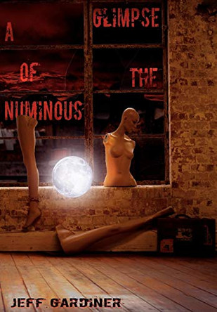 A Glimpse of the Numinous by Jeff Gardiner 9781908125101