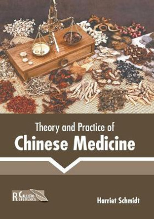 Theory and Practice of Chinese Medicine by Harriet Schmidt