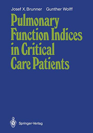 Pulmonary Function Indices in Critical Care Patients by Josef X. Brunner 9783540184324