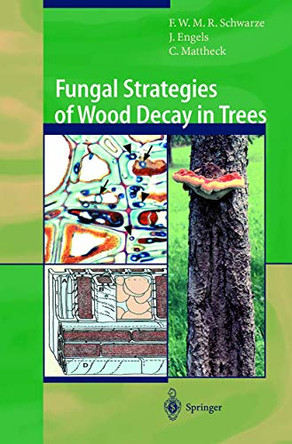 Fungal Strategies of Wood Decay in Trees by W. Linnard 9783642631337