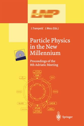 Particle Physics in the New Millennium: Proceedings of the 8th Adriatic Meeting by Josip Trampetic 9783662144152